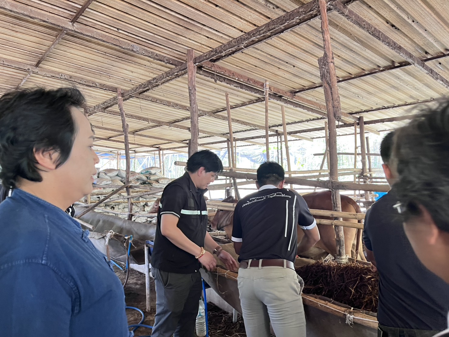 title - วันอังคารที่ 31 มีนาคม 2569 นายวิทูล ประดิษฐบุญ ปฏิรูปที่ดินจัังหวัดปราจีนบุรี พร้อมด้วย เจ้าหน้าที่ ส.ป.ก.ปราจีนบุรี เข้าร่วม กิจกรรมเปิดโครงการ Kick off การใช้ประโยชน์ จากฟางข้าวตาม 